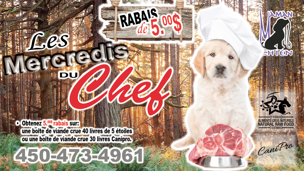 Mercredi du Chef Maman Chien