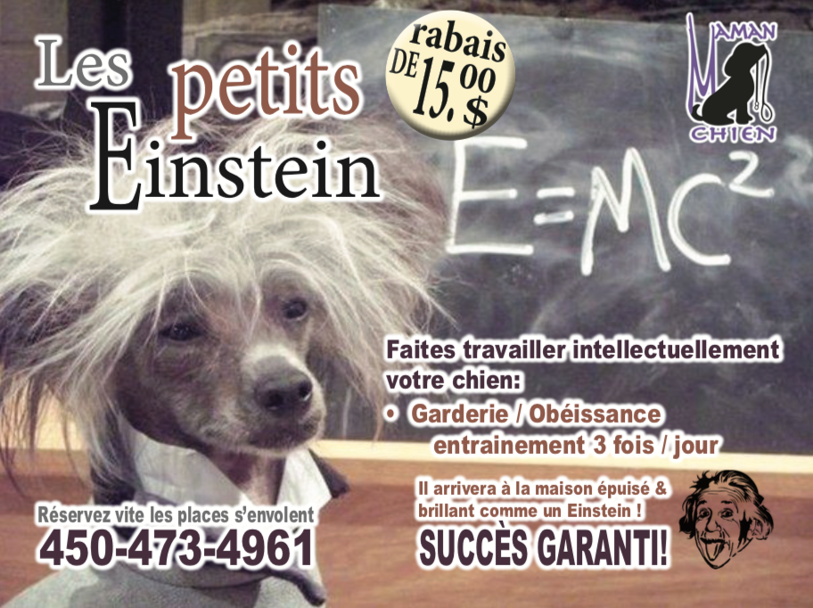 Petits Einstein Maman Chien