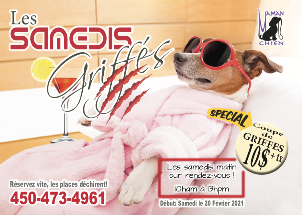 Coupe de Griffes Maman Chien