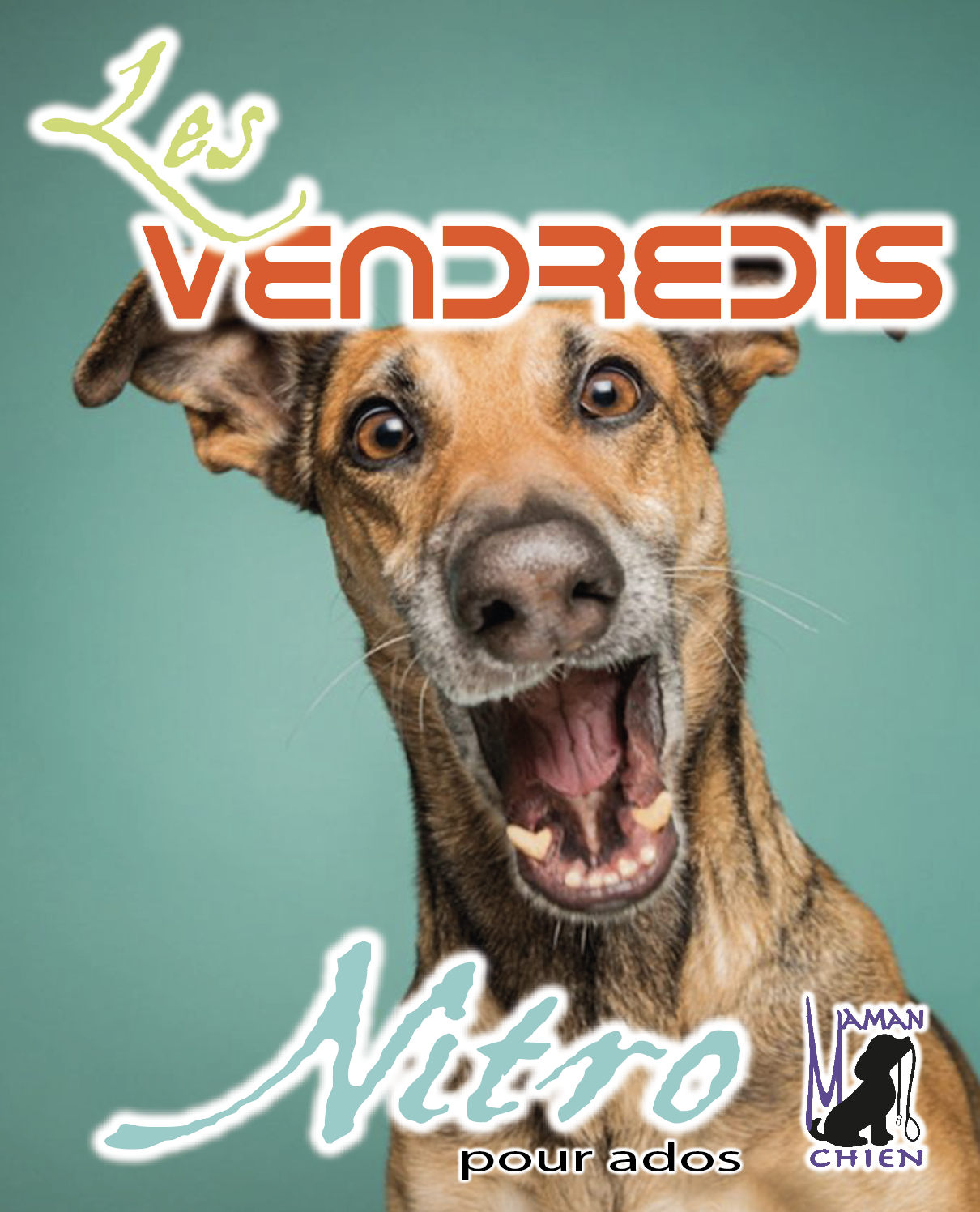 Vendredis_Nitro Pension garderie chiens