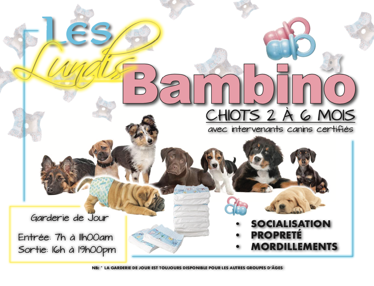 Lundi Bambino Pension Garderie Maman Chien