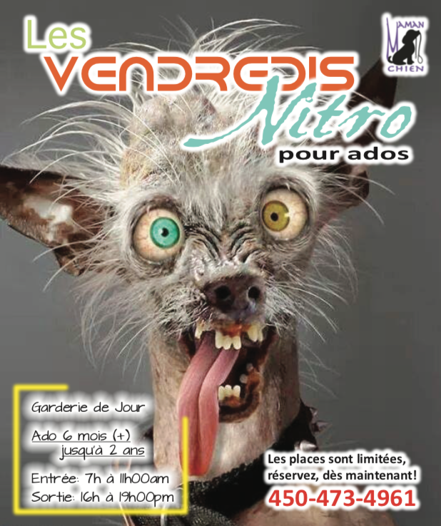 Vendredi Nitro Pension Garderie Maman Chien